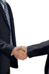 Closeup of Two Business People Shaking Hands