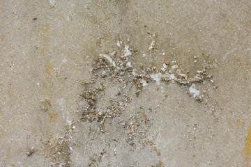 Asbestos slate texture concrete covered with lichen and moss	