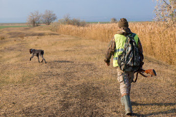 Hunter with a gun and a dog go on the first snow in the steppe, Hunting pheasant in a reflective vest