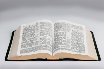 Open Holly Bible