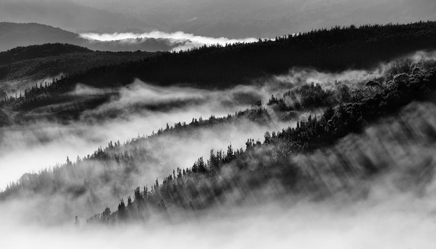 Black and White landscape image of hills