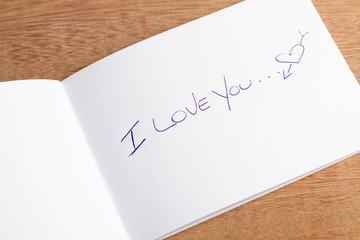 Amor / love