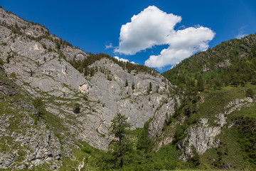 Mountain landscape in the valley of the confluence of the Katun and Maly Yaloman rivers, Altai, Russia