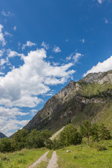 Mountain landscape in the valley of the confluence of the Katun and Maly Yaloman rivers, Altai,...