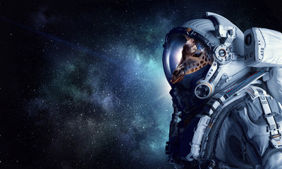 First trip to space. Mixed media