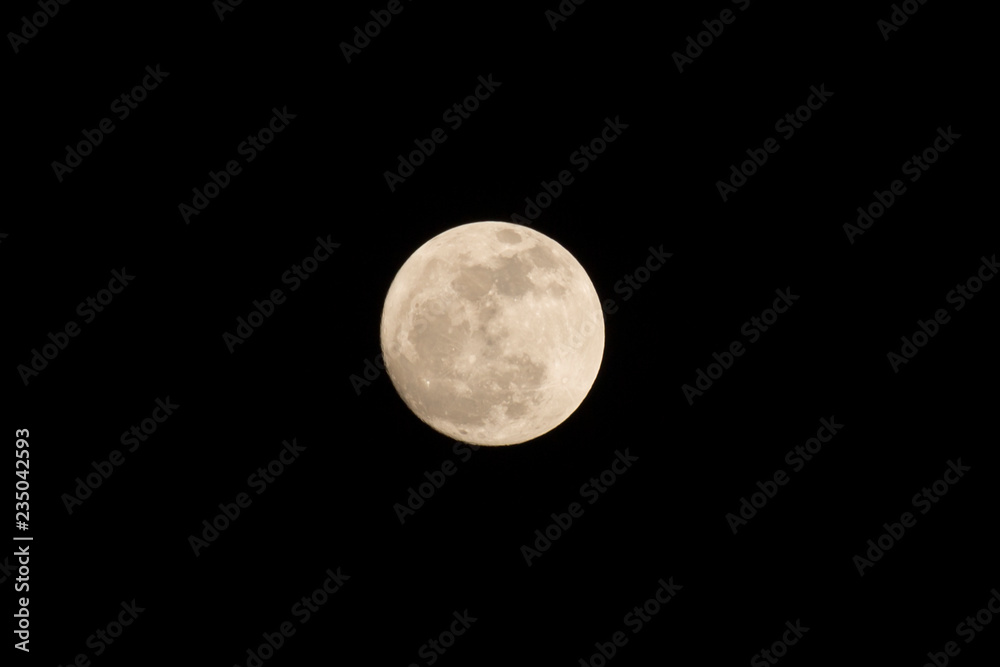 Wall mural full moon on black.