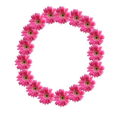 English alphabet from pink chrysanthemum