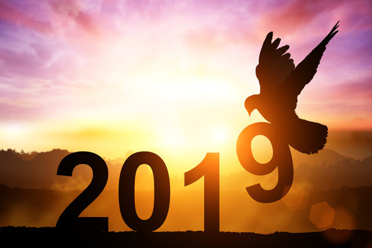 Silhouette of Dove Carry Number 9 Text for Happy new year 2019 Concept.