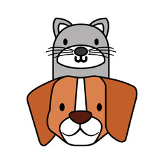 pets dog and cat on white background