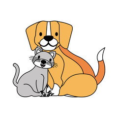 pets dog and cat on white background