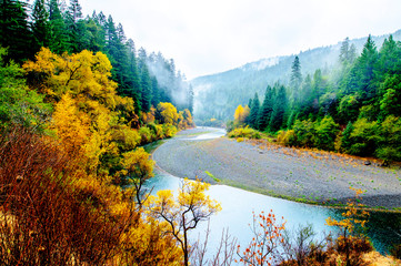 Eel River view from the Avenue of the Giants road, Humboldt Redwoods State Park, Northern...