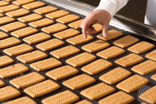 cookie factory making