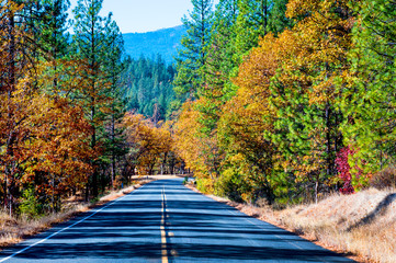 East Road beside Trinity Lake, Northern California Nov. 11, 2018 _DSC1019