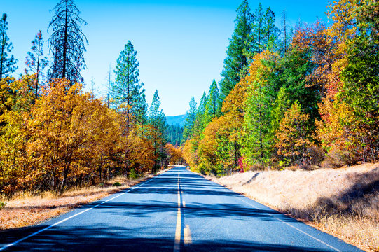 East Road Beside Trinity Lake, Northern California Nov. 11, 2018 _DSC1022