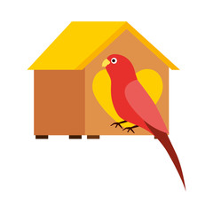 red parrot with wooden house pet