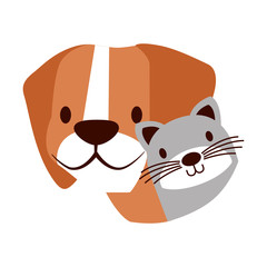 dog and cat pet on white background