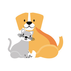 pets dog and cat on white background