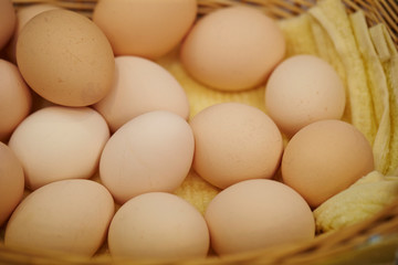 Light brown eggs
