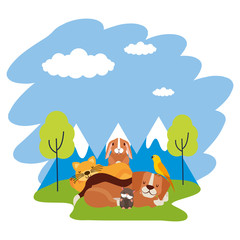 Naklejka premium dog cat hamster rabbit and bird loutdoors