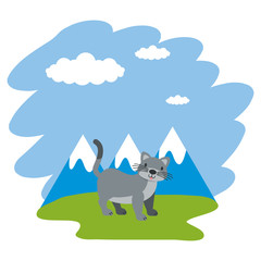 gray cat grass mountains landscape