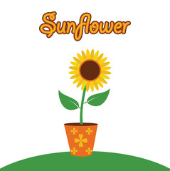 sunflower cartoon floral garden summer illustration concept design vector