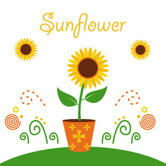 sunflower cartoon floral garden summer illustration concept design 