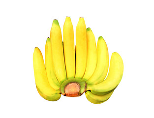 Fresh yellow bananas group ( Gros Michel  )  isolated on white background with clipping path - obrazy, fototapety, plakaty