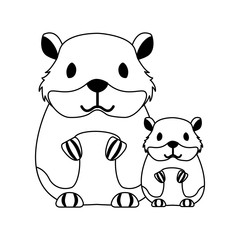 hamsters rodent on white background