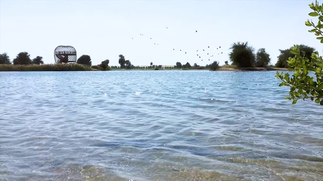 Al Qudra lakes