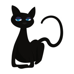black cat on white background