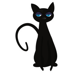black cat on white background