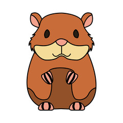 hamster rodent on white background