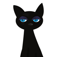 black cat on white background