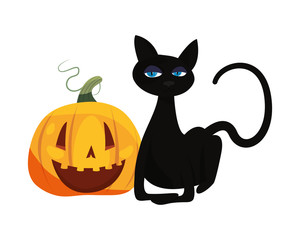 black cat halloween and pumpkin