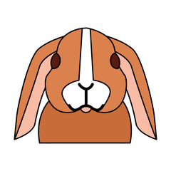 Obraz premium cute rabbit on white background