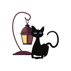 halloween black cat and lamp