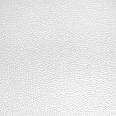 Texture of White leather for background