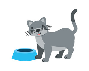pet shop related