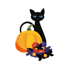 halloween black cat with pumpkin and candies