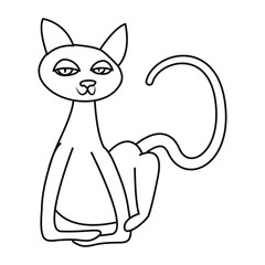 cat on white background