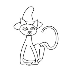 cat halloween and witch hat