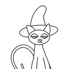 cat halloween and witch hat