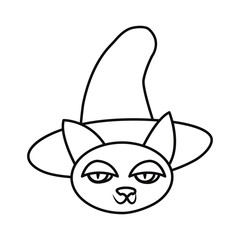 cat halloween and witch hat