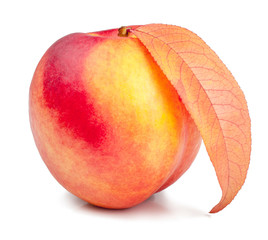Nectarine isolated on white