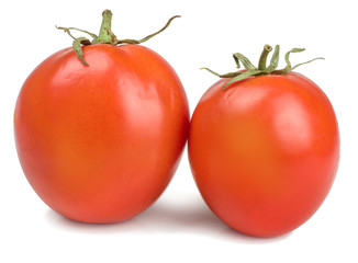 Tomatoes isolated on white