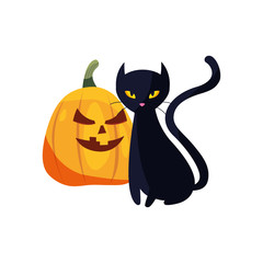 halloween black cat and scary pumpkin