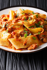 Taccozzette con Stracotto (pasta with braised pork ragu) close-up on a plate on the table. vertical