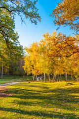 Naklejka premium Beautiful pastoral autumn landscape with woodland and road