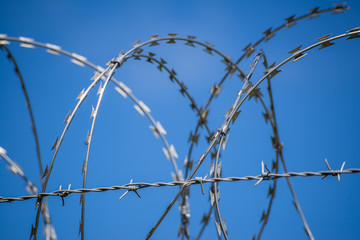 Stacheldraht vor blauem Himmel NATO-Draht Bandstacheldraht Grenze Zaun
