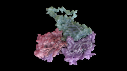 3D CG rendered image of scientifically accurate Hepatitis A Virus Capsomere based on PDB : 4QPI